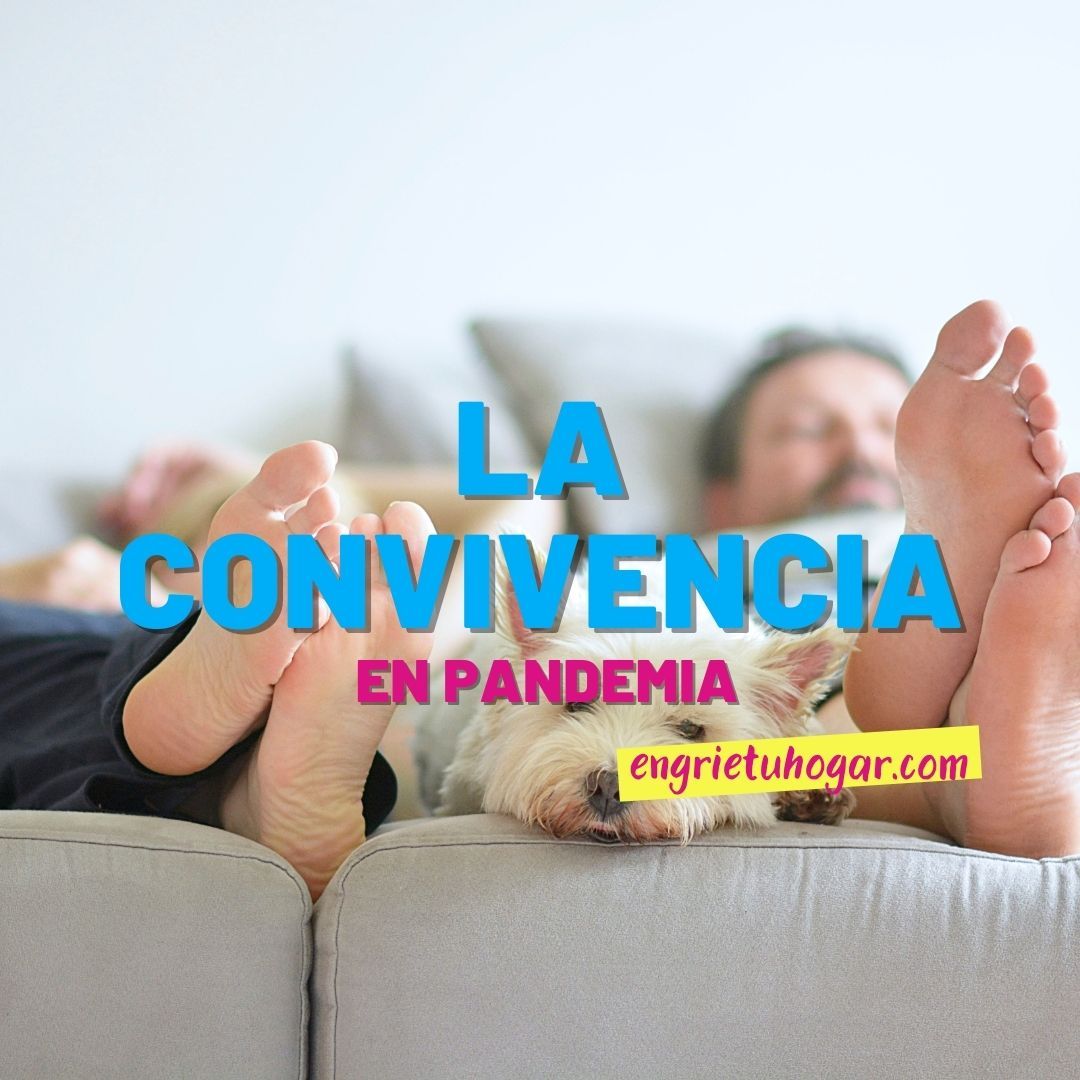 La convivencia en pandemia