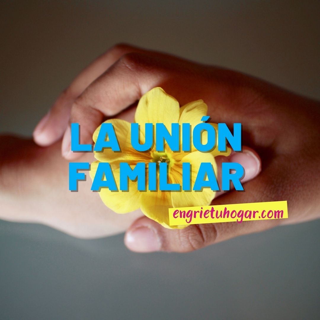 Consejos para mantener unida a la familia
